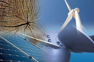 Investing in Green: Invesco Renewable Energy Funds & Beyond | Renewable Energy Solutions for a Sustainable Future | Clean & Green Power