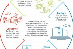 Debunking: Is Natural Gas a Renewable Energy Source? Facts! | Renewable Energy Solutions for a Sustainable Future | Clean & Green Power