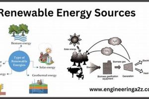 Best Statements: Which Accurately Describes Renewable Energy? Renewable Energy Solutions for a Sustainable Future | Clean & Green Power Best Statements: Which Accurately Describes Renewable Energy? | Renewable Energy Solutions for a Sustainable Future | Clean & Green Power