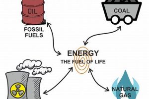 Non-Renewable Energy Sources: Origins & Impacts | Renewable Energy Solutions for a Sustainable Future | Clean & Green Power