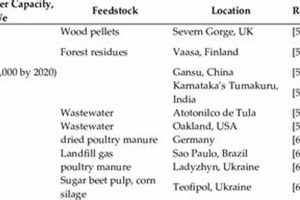 Top: Largest Renewable Energy Source Guide + Future | Renewable Energy Solutions for a Sustainable Future | Clean & Green Power