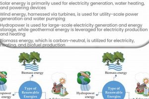 Easy Guide: Name Three Renewable Energy Sources (and More!) | Renewable Energy Solutions for a Sustainable Future | Clean & Green Power