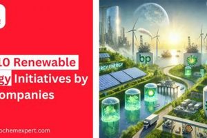 Are Oil & Gas Companies Renewable Energy Leaders? | Renewable Energy Solutions for a Sustainable Future | Clean & Green Power