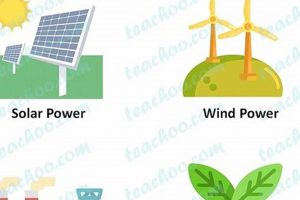 Top 3 Renewable Energy Sources: A Complete List (2024) | Renewable Energy Solutions for a Sustainable Future | Clean & Green Power