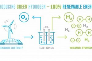 Can Hydrogen Be a Renewable Energy Source? The Facts Renewable Energy Solutions for a Sustainable Future | Clean & Green Power Can Hydrogen Be a Renewable Energy Source? The Facts | Renewable Energy Solutions for a Sustainable Future | Clean & Green Power