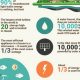 Fun Renewable Energy Facts: Amazing & True | Renewable Energy Solutions for a Sustainable Future | Clean & Green Power
