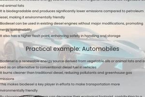 Renewable Biofuel: Is Biodiesel a Renewable Energy Source? | Renewable Energy Solutions for a Sustainable Future | Clean & Green Power