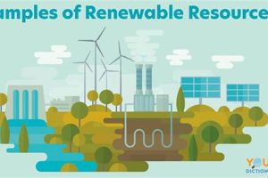Why A Renewable Resource Matters: Benefits & Future | Renewable Energy Solutions for a Sustainable Future | Clean & Green Power