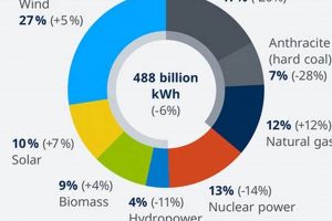 Germany's Renewable Energy Percentage &amp; Future | Renewable Energy Solutions for a Sustainable Future | Clean & Green Power