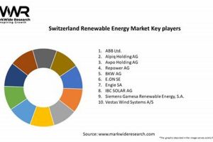 Swiss Renewable Energy Companies: Leaders & Future | Renewable Energy Solutions for a Sustainable Future | Clean & Green Power