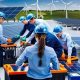 Top Careers in Renewable Energy: Your Guide | Renewable Energy Solutions for a Sustainable Future | Clean & Green Power