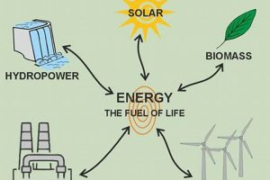 Why Intro to Renewable Energy Matters + Guide | Renewable Energy Solutions for a Sustainable Future | Clean & Green Power