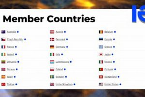 The IEA: Guiding Global Energy Transitions | Renewable Energy Solutions for a Sustainable Future | Clean & Green Power