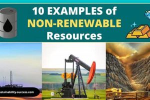 Essential Resources & Non-Resources: A Guide | Renewable Energy Solutions for a Sustainable Future | Clean & Green Power