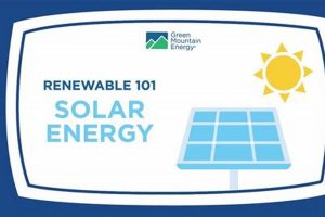Renewable Energy 101 | Renewable Energy Solutions for a Sustainable Future | Clean & Green Power