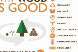Is Wood Truly Renewable Energy? Exploring the Facts | Renewable Energy Solutions for a Sustainable Future | Clean & Green Power