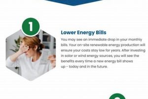 Why Renewable Resources? One Benefit: Sustainability Now | Renewable Energy Solutions for a Sustainable Future | Clean & Green Power