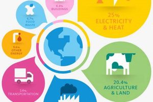 Do Renewable Energy Sources *Really* Produce Greenhouse Gases? | Renewable Energy Solutions for a Sustainable Future | Clean & Green Power