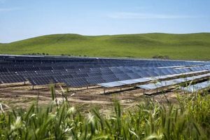 Top San Francisco Renewable Energy Companies: Guide + List Renewable Energy Solutions for a Sustainable Future | Clean & Green Power Top San Francisco Renewable Energy Companies: Guide + List | Renewable Energy Solutions for a Sustainable Future | Clean & Green Power