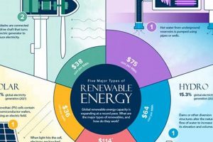 Top 5: Name Five Renewable Energy Resources Guide | Renewable Energy Solutions for a Sustainable Future | Clean & Green Power