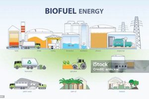 Future of Energy: Renewable Biofuels | Renewable Energy Solutions for a Sustainable Future | Clean & Green Power