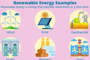 Exploring Three Renewable Energy Resources: A Sustainable Future | Renewable Energy Solutions for a Sustainable Future | Clean & Green Power