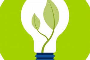Biomass: Which Renewable Energy Resource Comes From Burning Plants? | Renewable Energy Solutions for a Sustainable Future | Clean & Green Power