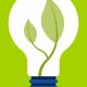 Biomass: Which Renewable Energy Resource Comes From Burning Plants? | Renewable Energy Solutions for a Sustainable Future | Clean & Green Power