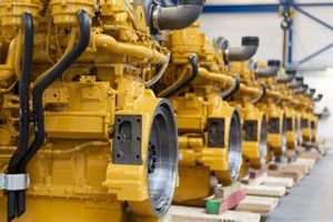 Purrfect Power: Cat Renewable Energy Solutions Renewable Energy Solutions for a Sustainable Future | Clean & Green Power Purrfect Power: Cat Renewable Energy Solutions | Renewable Energy Solutions for a Sustainable Future | Clean & Green Power