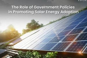 Effective Government Policy for Renewable Energy Growth Renewable Energy Solutions for a Sustainable Future | Clean & Green Power Effective Government Policy for Renewable Energy Growth | Renewable Energy Solutions for a Sustainable Future | Clean & Green Power