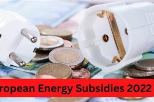 Unlocking EU Renewable Energy Subsidies: A Comprehensive Guide | Renewable Energy Solutions for a Sustainable Future | Clean & Green Power
