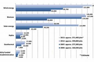 Top Renewable Energy Jobs in Germany 2024 | Renewable Energy Solutions for a Sustainable Future | Clean & Green Power