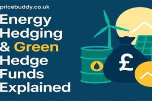 Top Renewable Energy Hedge Funds: A Guide Renewable Energy Solutions for a Sustainable Future | Clean & Green Power Top Renewable Energy Hedge Funds: A Guide | Renewable Energy Solutions for a Sustainable Future | Clean & Green Power