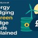 Top Renewable Energy Hedge Funds: A Guide | Renewable Energy Solutions for a Sustainable Future | Clean & Green Power