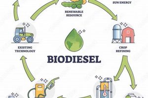 Clean Energy: Biodiesel is Renewable Fuel Renewable Energy Solutions for a Sustainable Future | Clean & Green Power Clean Energy: Biodiesel is Renewable Fuel | Renewable Energy Solutions for a Sustainable Future | Clean & Green Power