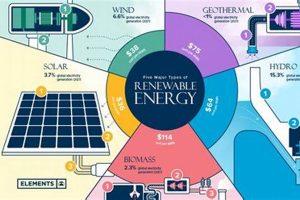 Will Renewable Energy Power the Future? A Deep Dive | Renewable Energy Solutions for a Sustainable Future | Clean & Green Power