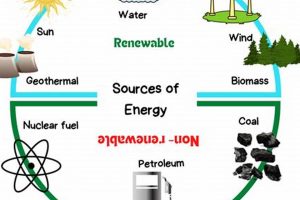 Top 4 Natural Sources of Renewable Energy Today! | Renewable Energy Solutions for a Sustainable Future | Clean & Green Power