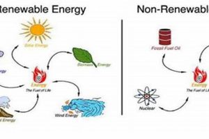 Non Renewable Vs Renewable Energy | Renewable Energy Solutions for a Sustainable Future | Clean & Green Power