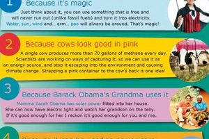 Why Should We Use More Renewable Energy | Renewable Energy Solutions for a Sustainable Future | Clean & Green Power