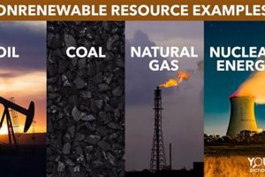 Science Behind Non Renewable Resources: Definition & Facts | Renewable Energy Solutions for a Sustainable Future | Clean & Green Power