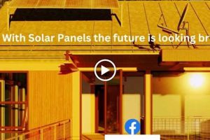 Top-Rated Atlanta Solar Companies Near You (Cost Guide) | Renewable Energy Solutions for a Sustainable Future | Clean & Green Power