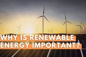 The Urgent Need: Why Renewable Energy Resources Are Vital Now | Renewable Energy Solutions for a Sustainable Future | Clean & Green Power
