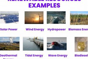 Powering the Future: An Example of Renewable Resources Today! | Renewable Energy Solutions for a Sustainable Future | Clean & Green Power