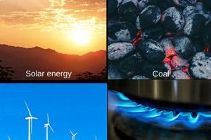 Exploring Conventional & Renewable Energy Sources | Renewable Energy Solutions for a Sustainable Future | Clean & Green Power