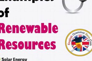 Why & How: What are Some Renewable Resources to Use? | Renewable Energy Solutions for a Sustainable Future | Clean & Green Power