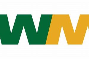 Top WM Renewable Energy LLC Solutions Renewable Energy Solutions for a Sustainable Future | Clean & Green Power Top WM Renewable Energy LLC Solutions | Renewable Energy Solutions for a Sustainable Future | Clean & Green Power