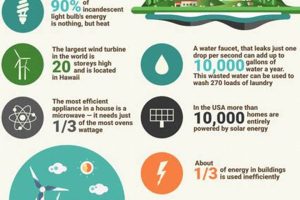 Top 5 Fun Facts on Renewable Energy: Solar & Wind Renewable Energy Solutions for a Sustainable Future | Clean & Green Power Top 5 Fun Facts on Renewable Energy: Solar & Wind | Renewable Energy Solutions for a Sustainable Future | Clean & Green Power