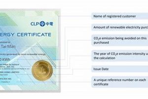 Price Renewable Energy Certificates | Renewable Energy Solutions for a Sustainable Future | Clean & Green Power