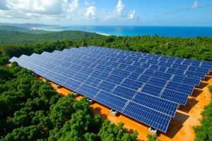 Prime Solares RD: Invest in Renewable Energy | Renewable Energy Solutions for a Sustainable Future | Clean & Green Power