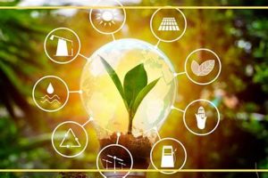 Harnessing Renewable Energy: A How-To Guide | Renewable Energy Solutions for a Sustainable Future | Clean & Green Power